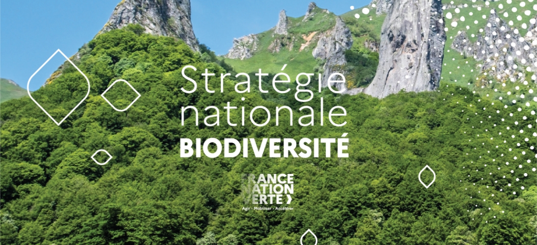 La Stratégie nationale de la biodiversité pour 2030 a pour objectif de stopper puis d'inverser l’effondrement du vivant.