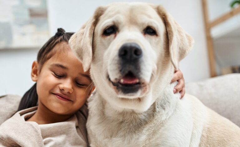 À l’hôpital Jean-Verdier de Bondy (Seine-Saint-Denis), l’Assistance publique - Hôpitaux de Paris vient d’accueillir son premier chien d’assistance judiciaire. Sa mission : apaiser les victimes de violences, souvent mineures, lors de moments particulièrement difficiles.