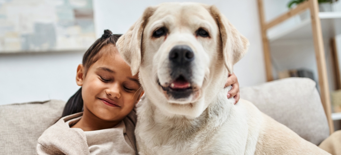 À l’hôpital Jean-Verdier de Bondy (Seine-Saint-Denis), l’Assistance publique - Hôpitaux de Paris vient d’accueillir son premier chien d’assistance judiciaire. Sa mission : apaiser les victimes de violences, souvent mineures, lors de moments particulièrement difficiles.