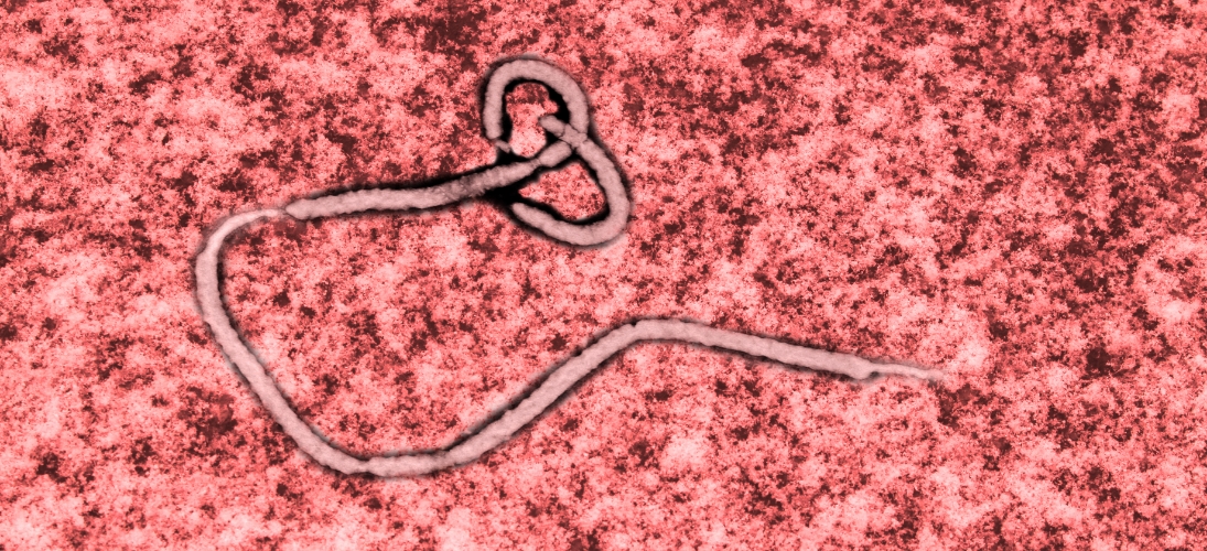 Ebola : ce qu’il faut savoir de l’épidémie